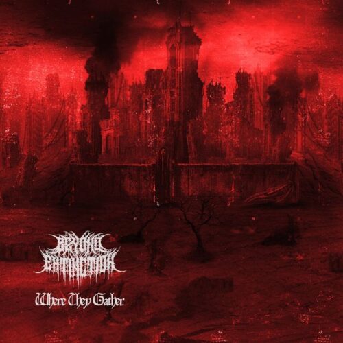 Beyond Extinction - Where They Gather (Cover Artwork)